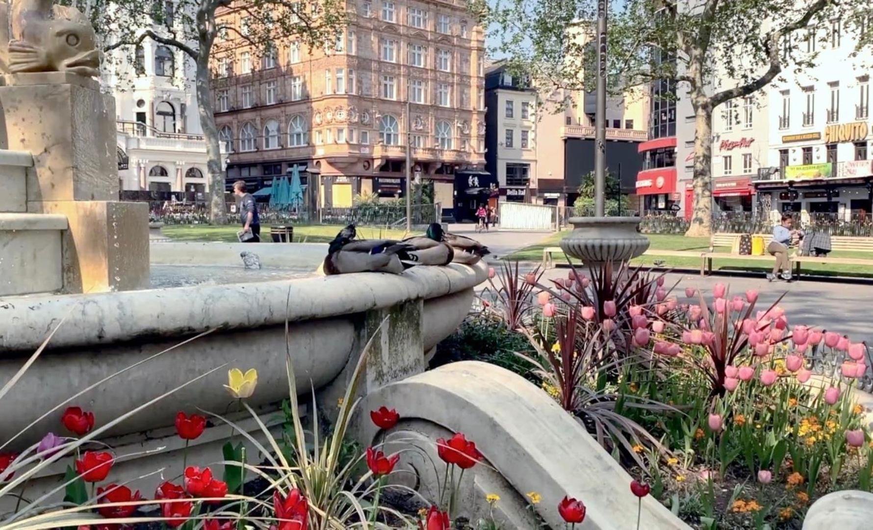 Fantastic 1 Bedroom Flat Leicester Square West End Londra Esterno foto